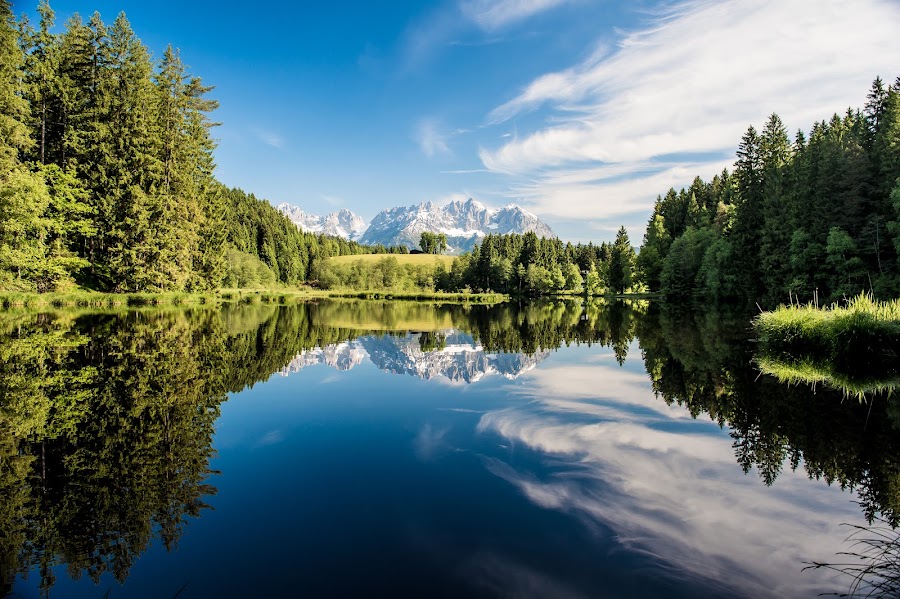 Waldbad Gieringer Weiher
