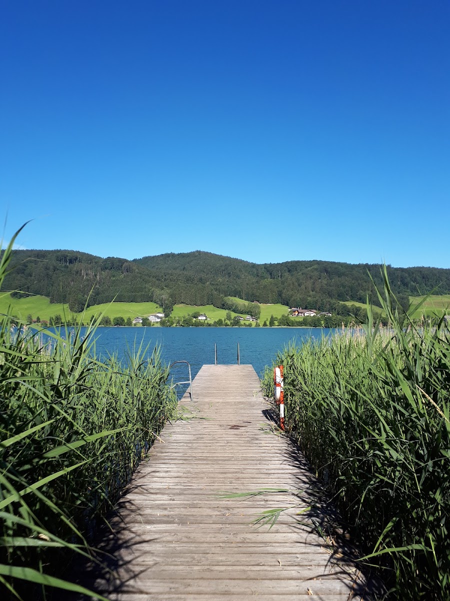 Strandbad Zell am Moos