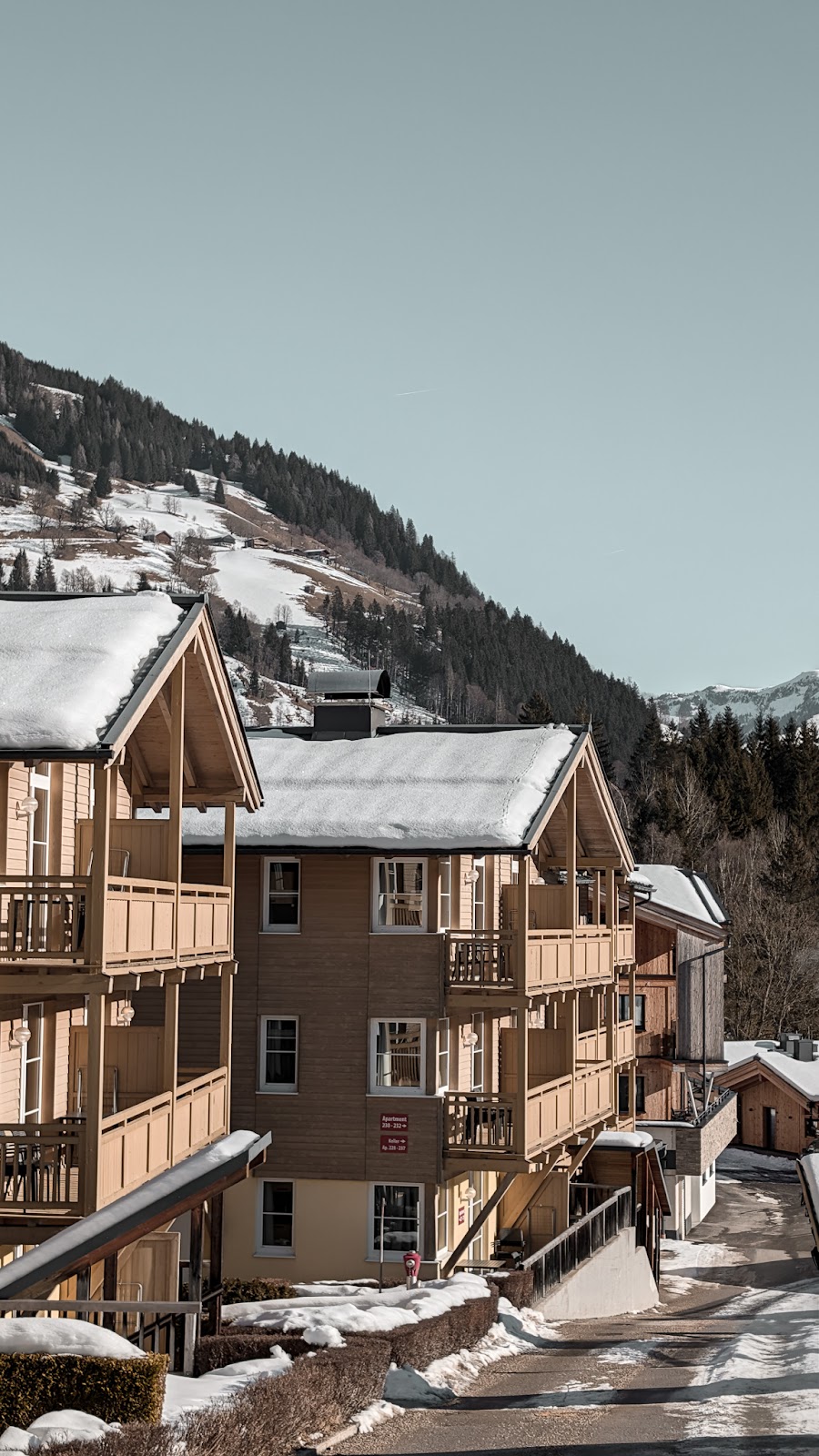 Außenpool vom AlpenParks Apartment & Ferienresort Rehrenberg Viehhofen