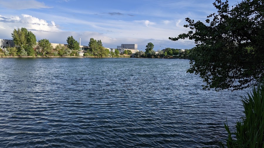 Erika-Teich