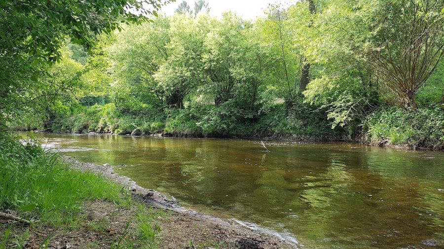 Naturbadeplatz Hohensteg